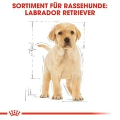 ROYAL CANIN Labrador Retriever Puppy 12 Kg -Deutschland Hund Trockenfutter Verkaufs-Shop 686c892dd570ae8ec9147221ccd2e4feb5a4fe68 c0a3fdbed5796e52e3f09b24074eb594eee7df83
