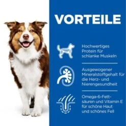 Hill's Science Plan Mature Adult 7+ Mit Huhn 12x370g -Deutschland Hund Trockenfutter Verkaufs-Shop 6983ef82552d45f79ac17b576c1c57e67a509885 52742051598 4