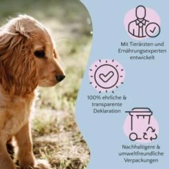 FAVLY Petfood Nature Cookies Pute 360 G -Deutschland Hund Trockenfutter Verkaufs-Shop 6c9d1abe0a2c3e1ebe66676a84af974447985b3a 1474002 de DE 8376156006fe9b222994c99185dc131fb988c3c2LLZ2OM