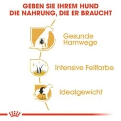 ROYAL CANIN Zwergschnauzer Adult 3kg 10 ROYAL CANIN Zwergschnauzer Adult 3kg -Deutschland Hund Trockenfutter Verkaufs-Shop 77e331cd9fcae9ed7be9f7a8c30418a1469100cb 1e18f973f74ec6522c9cbb67634ea47bb6587bea