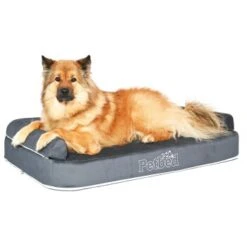 Petbed Wasserbett 120x70cm Anthrazit 9 Petbed Wasserbett 120x70cm Anthrazit -Deutschland Hund Trockenfutter Verkaufs-Shop 781bc1dfa6d473c64738de4d42fe751dc21256c6 1500826 de DE 7aa6c8bf7ba16679c880890227004a41772a280aiK6UaE