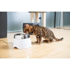 AniOne Edelstahl-Trinkbrunnen Trevi Ohne Ersatzfilter -Deutschland Hund Trockenfutter Verkaufs-Shop 7a066af048695bbfaeca0a855e5984fc3bf99d03 689fcf415d486ac05c07f2a4868b1d087d7a9ece