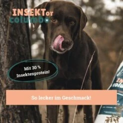 BeG Buddy Trockenfutter Insekten 10 Kg -Deutschland Hund Trockenfutter Verkaufs-Shop 7dbff851a4b08db9f175b2d2a82d8c606025d507 1457249 de DE a7b2e0a08ffde87f19ce4820500c56d453115ca7oJJiOg