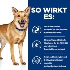 Hill's Prescription Diet Digestive Care I/d Mit Huhn 4 Kg -Deutschland Hund Trockenfutter Verkaufs-Shop 7e3e2be551d9337afc72be5b9b553fae398d3eb4 7017633fdcdc277570f3897afda562ea06f821a0