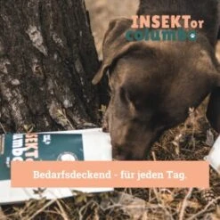 BeG Buddy Trockenfutter Insekten 10 Kg -Deutschland Hund Trockenfutter Verkaufs-Shop 809bc4ff3b44a47ca72efd37dd80bd2ebc8d6768 1457249 de DE 123bfe8a8f9618b3a58ac5efe483c5e0ad6f0bd2L86XLS
