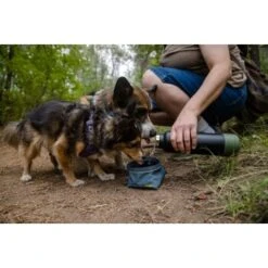 Ruffwear Great Basin™ Napf Schieferblau S -Deutschland Hund Trockenfutter Verkaufs-Shop 824b44ccf17c67c3dd43e5523941633c95efed85 1651551 de DE fad827ec7223895423979e3215d64ffaeae47c26HGRUuZ