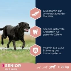 EUKANUBA Caring Senior Large Breed Chicken 15kg 8 EUKANUBA Caring Senior Large Breed Chicken 15kg -Deutschland Hund Trockenfutter Verkaufs-Shop 8a90755cc4f26f1e1886090bf499e77dacd7fb30 1293670 de DE ask 3