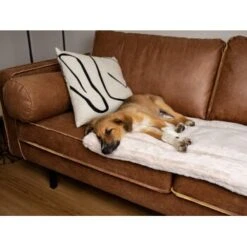 TrendPet Harmony Gefütterte Liegedecke Creme XS -Deutschland Hund Trockenfutter Verkaufs-Shop 8a90b0a9111c9f8c3102709bd3f96183b3562c59 1390614 de DE 76a51ca8d6aad29feaec164f24c0d781c9ed8ce7YdJOW0