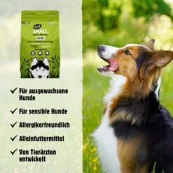 Eat Small EatSmall 2kg Maxi Active Trockenfutter 14 Eat Small EatSmall 2kg Maxi Active Trockenfutter -Deutschland Hund Trockenfutter Verkaufs-Shop 8ce5231807dbcfa11bfebbb58ab3376db975810f 1450723 de DE 045556f8e417da90be61f538db133a32cf0ddbabSrtas7