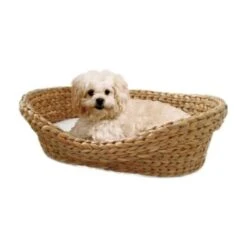 Silvio Design Tierbett Wasserhyazinthe 5 Silvio Design Tierbett Wasserhyazinthe -Deutschland Hund Trockenfutter Verkaufs-Shop 8e75e609b71117daf9439570bf726f662feec528 7bf5012366bc2a35e7c63234741615e997e3b456