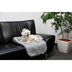 Kerbl Couchkissen Emalia Grau 60 Cm, 40 Cm, 12 Cm -Deutschland Hund Trockenfutter Verkaufs-Shop 8ea64fb8bf622036e0063747dc7192c01fd54817 1363655 de DE kerbl schlafpl 2