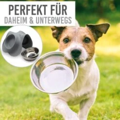 KaraLuna Napfunterlage Mit 4 Näpfen Grau 0,2 Cm³ -Deutschland Hund Trockenfutter Verkaufs-Shop 91edc8a5264495986632e85e519ea0d6174baf34 1407482 de DE 86ec41c9cd718785d561e9ab479b800f47302bf9415Rf7