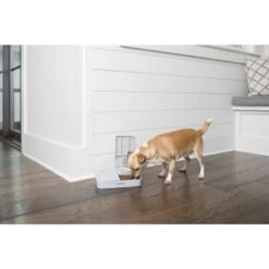 PetSafe Futterautomat Für 2 Mahlzeiten -Deutschland Hund Trockenfutter Verkaufs-Shop 98670f242f118bad629edcf021dc784c6a55633d 1343837 2