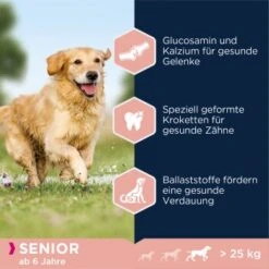 EUKANUBA Senior Large & Giant Breed Lamm & Reis 12kg 11 EUKANUBA Senior Large & Giant Breed Lamm & Reis 12kg -Deutschland Hund Trockenfutter Verkaufs-Shop 9a800125a21c4150fa4e12ea89fb6d238d0ecc05 dc3f815ea1bcea675af23baf846f997924ddadfc