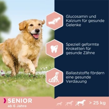 EUKANUBA Senior Large & Giant Breed Lamm & Reis 12kg 7 EUKANUBA Senior Large & Giant Breed Lamm & Reis 12kg – Bild 5
