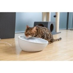 AniOne Keramik-Trinkbrunnen Waterfall Weiß Ohne Ersatzfilter -Deutschland Hund Trockenfutter Verkaufs-Shop 9ab78e65ebaf72b76c537cd735c5a7cd6cd4d027 a897eca6393f48ff54c98954a2b189a96196cfbd