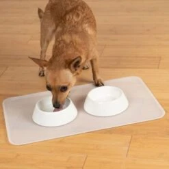 KaraLuna Basic Napfunterlage Transparent L -Deutschland Hund Trockenfutter Verkaufs-Shop 9ba40d7c74ee8125e59b22c7e83e8b1c6e9b7d62 1407477 de DE 14497c23a79b7136237df13f9c32b5ed84fd5ff0LsA92E