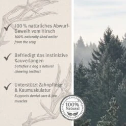 Aniforte Hochland Hirschgeweih Large -Deutschland Hund Trockenfutter Verkaufs-Shop 9dcf0f27be6849c765e8a9e12cd266dd1588a12d 1656976 de DE ac8dd6a0786bd0be0560fc7bc4de242434c219127XG5KZ