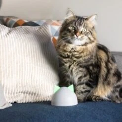 SureFlap Sure Petcare Hub -Deutschland Hund Trockenfutter Verkaufs-Shop 9f5bfec8de043f4a92cd1437f562ae1683a10820 46ac2e41b6bc8ea03ea15881bcebd38d8c7bf830