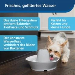 PetSafe Trinkbrunnen Streamside -Deutschland Hund Trockenfutter Verkaufs-Shop a4863bb01c9defc206f3abadb7407b11767619bd 1423698 de DE d7c376710365041814bb26a7ca9d55a6a9011fd8Nm0GoI