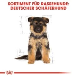 ROYAL CANIN German Shepherd Puppy 12 Kg -Deutschland Hund Trockenfutter Verkaufs-Shop a6ed0d212b31f716e951be43160e14dc1fcf1361 828f54e1844421c8d74031b31ca63b9e59d8c1ae