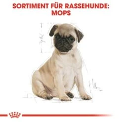 ROYAL CANIN Mops Puppy 1,5 Kg -Deutschland Hund Trockenfutter Verkaufs-Shop a8dcbe3811513f51103c125cc010a70c42f8e19a 27d6edb8ff1416bafe72b5dcbf2cc02303a12fe1