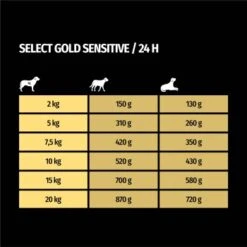 SELECT GOLD Sensitive Senior Huhn & Reis 6x800 G -Deutschland Hund Trockenfutter Verkaufs-Shop ada4b2948bf9c1013a90dc0a54aaa28a0a1fcabe 1099560 de DE 7