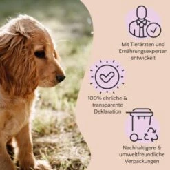 FAVLY Petfood Nature Cookies Hirsch 360 G -Deutschland Hund Trockenfutter Verkaufs-Shop ae0e416bd82871a8a65b5b89ea5ccac268b91726 1474001 de DE 80624b888460a5c29f043365a19496292e44fd84erjjco