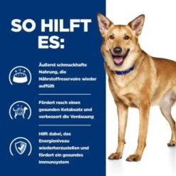 Hill's Prescription Diet Digestive Care I/d Mit Huhn 4 Kg -Deutschland Hund Trockenfutter Verkaufs-Shop aec07d1c4537753428e8965c265de8b101de060f ae761794660977e7a486e614e12e339a678461f0