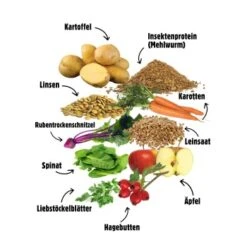 Eat Small EatSmall 2kg Mini Balance Trockenfutter -Deutschland Hund Trockenfutter Verkaufs-Shop af7d5d3f0c6cf8ba5242b727f1eb43705b306dac 1450725 de DE 6283572904307389a0bc941157f085e96ce5449b6ePPOU