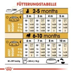 ROYAL CANIN Mops Puppy 1,5 Kg -Deutschland Hund Trockenfutter Verkaufs-Shop b4fde8fc0325fcebebf1f7ba77ece4a760892ed2 1142a47ae7899b973d3881a321687bd221657b17