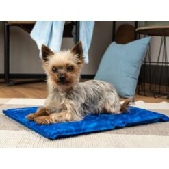 TrendPet Arctic Comfort 20 Mm Premium Kühlmatte Blau XS -Deutschland Hund Trockenfutter Verkaufs-Shop b53bb26cfb13cdd0b74dc985265a423c34472de0 1337501 de DE eeae7b858d8efabd7402d3478fa479a01c858980C07PVZ