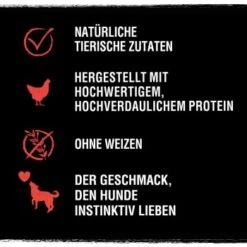 CRAVE Protein Bars 7 X 76g 9 CRAVE Protein Bars 7 X 76g -Deutschland Hund Trockenfutter Verkaufs-Shop b65aa187382a8f98d52538b2e41185f02dd7a19c 1390806 de DE crave bars rind 2