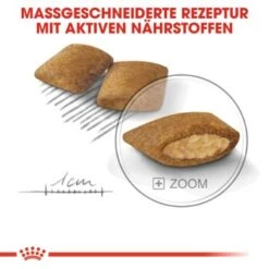 ROYAL CANIN Exigent Mini 3 Kg -Deutschland Hund Trockenfutter Verkaufs-Shop b8aa1c376b27f5425488e69d0cf81a397e0a03b5 ff7040fb29ee84f9d3542289043146698d974fd8
