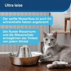 PetSafe Trinkbrunnen Seaside -Deutschland Hund Trockenfutter Verkaufs-Shop b8c30eb80c3b41d9f97ae45dfa553a3f3cf275d0 1423699 de DE 574133d75b37dd533cfefe79c3b58691ae333d20jypsKp