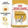 ROYAL CANIN Dalmatian Adult 12 Kg -Deutschland Hund Trockenfutter Verkaufs-Shop b8f723fb7b584da59f1b14101fb45574a1f6a9f1 bca6c71f5bf09c21e15b0569412c8db62c9f908c