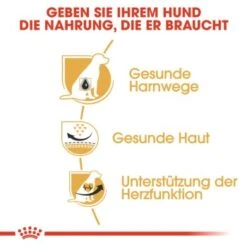 ROYAL CANIN Dalmatian Adult 12 Kg -Deutschland Hund Trockenfutter Verkaufs-Shop baa6c07ef1dd09e8ccb454bd2028b3786efeaba9 379a8fd9eb8df725952ac68389429f637ffbb937