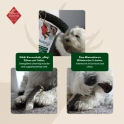ChronoBalance Geweih Ganz (L) 2er Paket -Deutschland Hund Trockenfutter Verkaufs-Shop bad81939aba47b81f0502a3476161bce26f8ba6a 1418692 de DE 594cf74f430c454b68b1620cb83ebdfecd05d9c5wEJLav