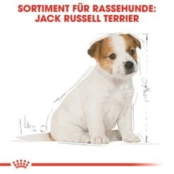 ROYAL CANIN Jack Russel Terrier Puppy 1,5kg -Deutschland Hund Trockenfutter Verkaufs-Shop bb3f5f8c600f3d186a55e0b092a0352606da8b46 5f62f0670b22e1110337187d33f26910051f1a81