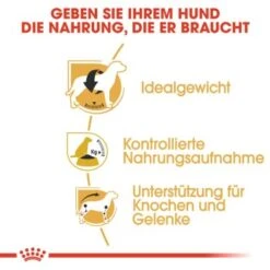 ROYAL CANIN Beagle Adult 3 Kg -Deutschland Hund Trockenfutter Verkaufs-Shop bd1d862302227d3355d22f5dd63b0fb6e01c0979 a169571c5cbde6082adf0be87e23db9042e69066