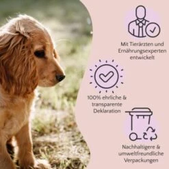 FAVLY Petfood Premium Naturkauartikel Rinderlunge 900 G -Deutschland Hund Trockenfutter Verkaufs-Shop bf0295fc51175eb9c0e295a7e2fc491189dc6682 1473997 de DE a2c9f8d86d80fc90ca8f9c923a08051ec130ef8deOeplF