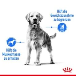 ROYAL CANIN Light Weight Care Medium 12 Kg -Deutschland Hund Trockenfutter Verkaufs-Shop c20cbc5fbbaf80a286086f39d304eb3b78f86bf5 1376169 de DE asa 4