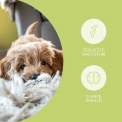 Mammaly Puppy Power 110g -Deutschland Hund Trockenfutter Verkaufs-Shop c7cef81181d0b2152b816e59970ecf56019ccf1c 1472892 4