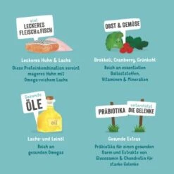 Edgard & Cooper Senior Huhn & ASC Lachs 6x400g -Deutschland Hund Trockenfutter Verkaufs-Shop cb3c27765329be404eb004d7fb4f01c41caeb986 1342698 de DE EC Senior HuhnLachs 1