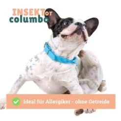 BeG Buddy Trockenfutter Insekten 10 Kg -Deutschland Hund Trockenfutter Verkaufs-Shop cf116b07da699229c95db961fe6b3149884d17ce 1457249 de DE 4e178ddbc2b2fdbf0c31f82dc0c4f17ba0e1886aNH54ct