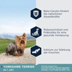 EUKANUBA Breed Specific Yorkshire Terrier 2kg -Deutschland Hund Trockenfutter Verkaufs-Shop d2d88bd5978c0492f3de222e84d02a53e0ab9129 86d3ab251b2e188cb3577aa52627db4b7aa1560d