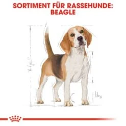 ROYAL CANIN Beagle Adult 3 Kg -Deutschland Hund Trockenfutter Verkaufs-Shop d3a84b255bdcfbbde818e2c2e15191cb2313a164 3772423de91cdfa47855021f9f3e19243302a8f9