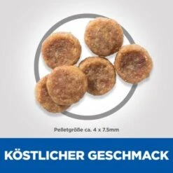 Hill's Science Plan Small & Miniature Adult 1-6 Huhn 6 Kg -Deutschland Hund Trockenfutter Verkaufs-Shop d5048d301a1eaa8251f8f9243ebc17205d8294c7 52742282107 6