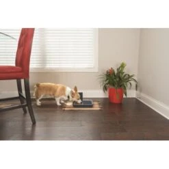 PetSafe Digitaler Futterautomat Für 2 Mahlzeiten -Deutschland Hund Trockenfutter Verkaufs-Shop dd3fb1748ad72abb1dbd97f6f077b00bb4d76d05 1291255 de DE cf72a75b3fd4f7fd8b7e51ea368585b22239110fFJga5O