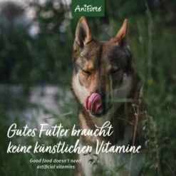 Aniforte Special Mix 2,4 Kg -Deutschland Hund Trockenfutter Verkaufs-Shop e20a123308d600345a9f03a897a253fd40dde3f4 1422198 de DE 12b8cfe33ee675107bc8329d05c3a48ecec8adba1Vr43t